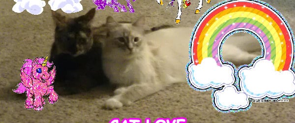 The most amazing best amazing cool picture