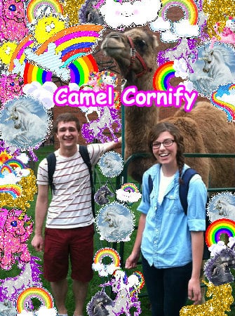 Super joyful joyful cool cute hug