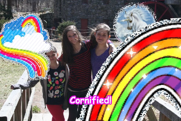 The best cute cool happy amazing unicorn