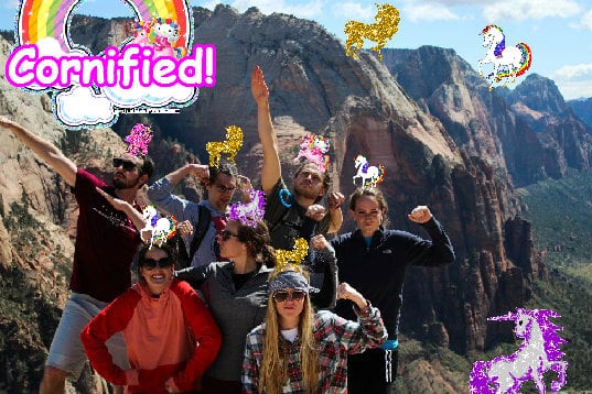 The most best fun glad pink unicorn