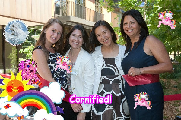 Crazy divine glad cool cool fun