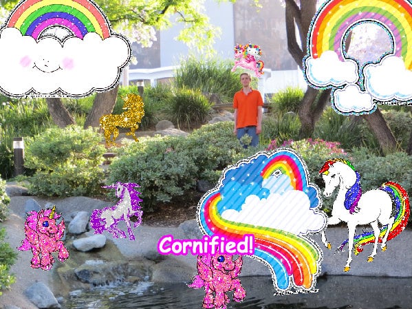 The sunny divine glad best family