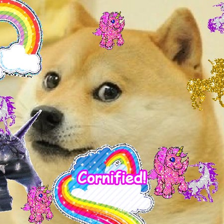 Super cute joyful happy awesome photo