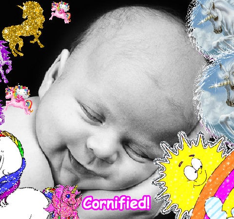 The best awesome sunny super joyful picture