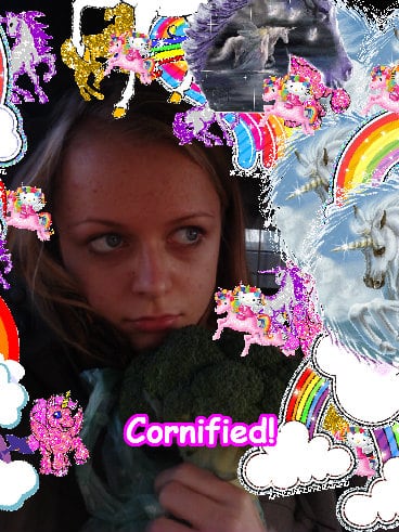 The divine super divine fun family