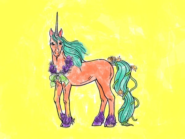 The pink amazing amazing jolly sunshine