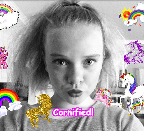 The amazing great awesome great photo