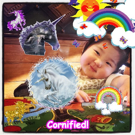 The divine cool cute joyful composition