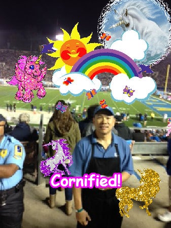 Crazy awesome great super sunny family