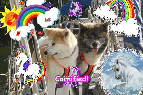 Super cool amazing cool happy friend