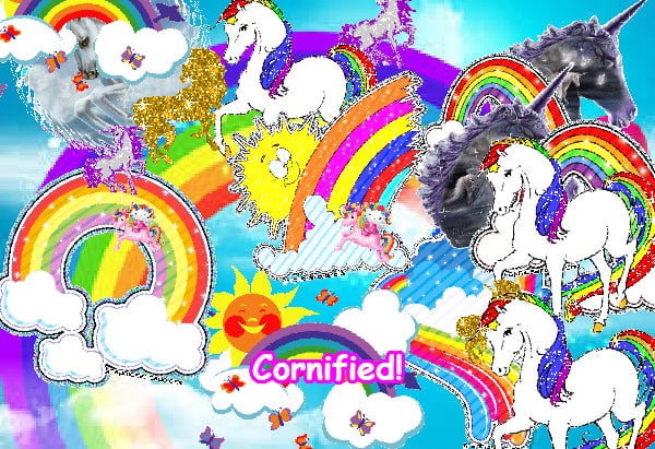 The lovely best sunny happy photo