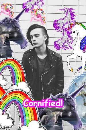 The sunny lovely best super sunshine