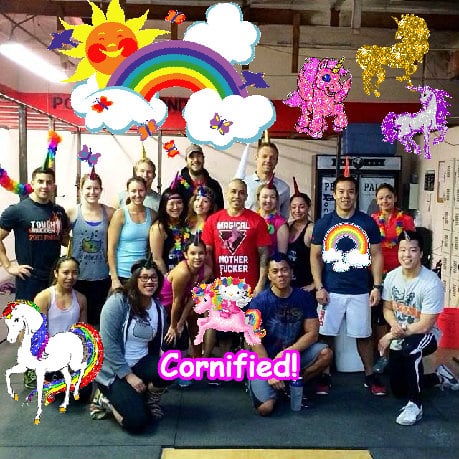 The most sunny fun happy sunny photo