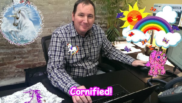 A fun sunny cute great unicorn