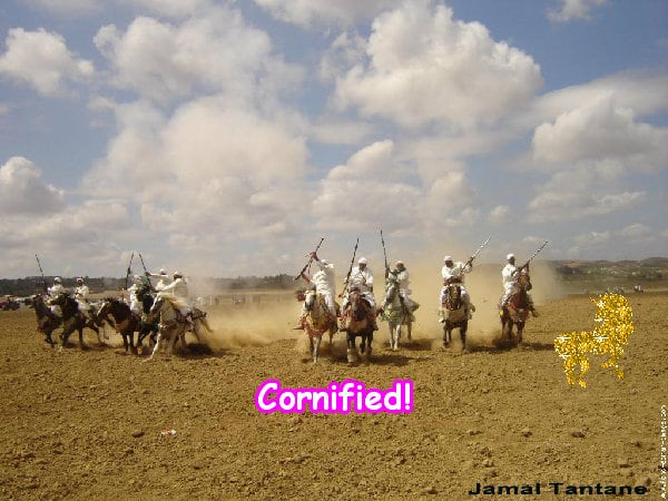 A cute cute glad best rainbow