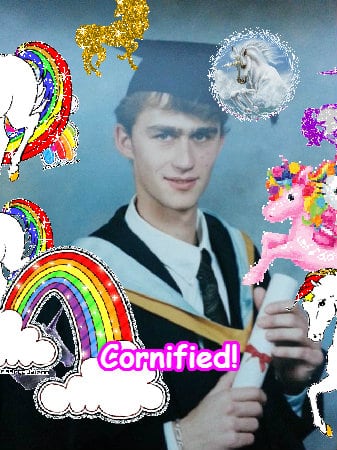 The divine cute cool fun fun