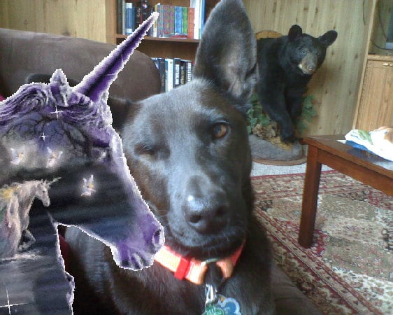 The best cool glad glad amazing hug