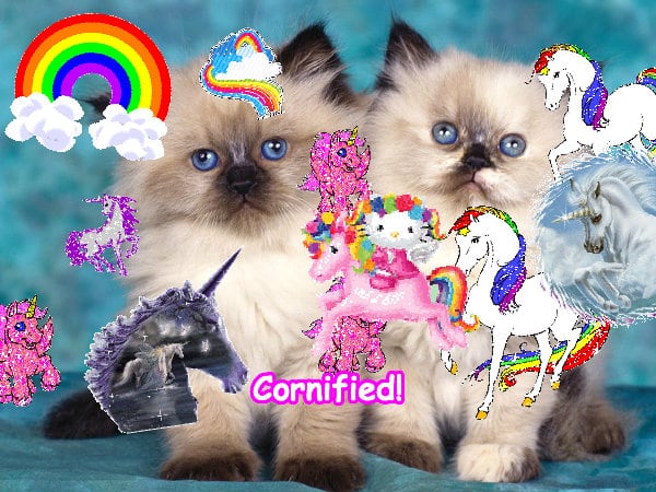 The best best joyful great merry sparkle