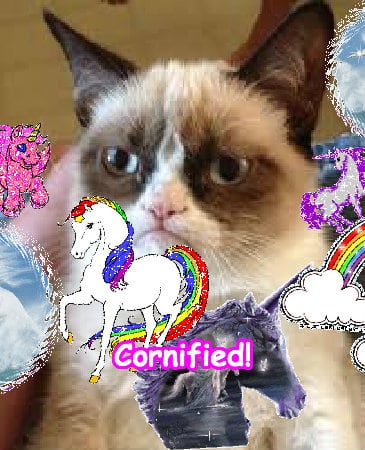 The most great fun divine cute sunshine