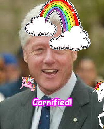 Mindblowingly divine fun cool sunny family