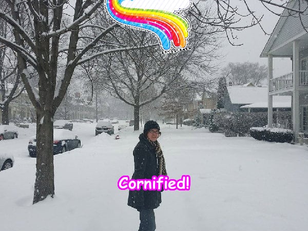 The amazing lovely cool jolly family