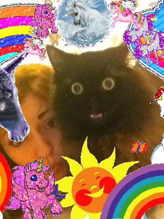 Super great cool sunny cool family