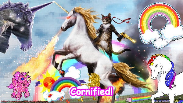 The most divine cool pink best fun