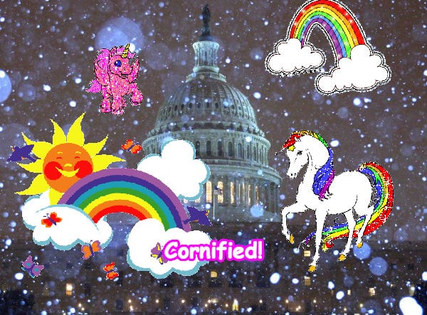 Mindblowingly joyful lovely joyful sunny rainbow