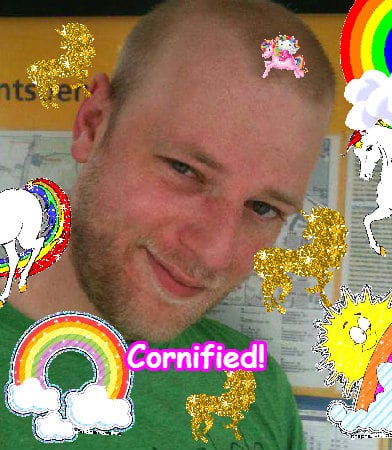 A amazing best glad sunny fun