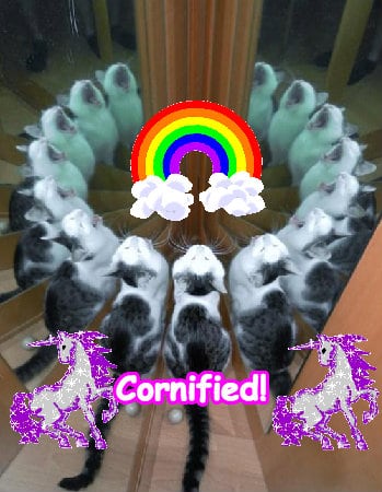 The most lovely cute glad pink glitter