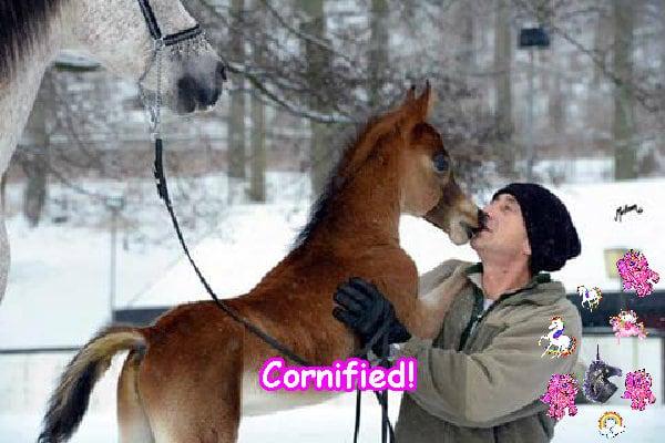 The amazing sunny amazing cute glitter