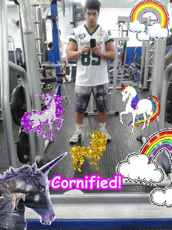 The best great glad pink merry unicorn