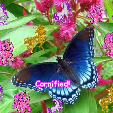 Mindblowingly happy merry happy awesome composition