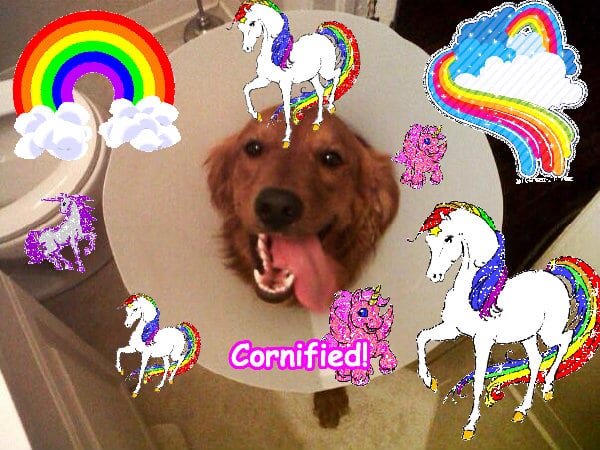 Mindblowingly jolly great merry best sunshine