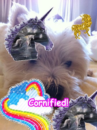 Crazy super glad fun lovely sparkle