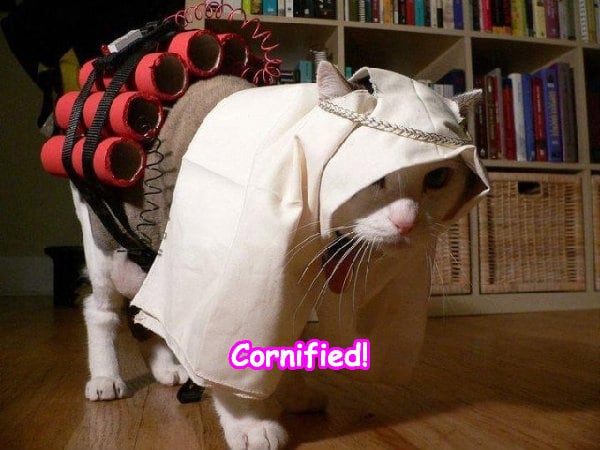 Super awesome joyful awesome great happiness