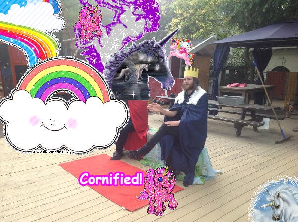 The most merry cute great awesome photo