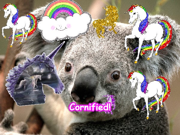 The best glad fun amazing cool image