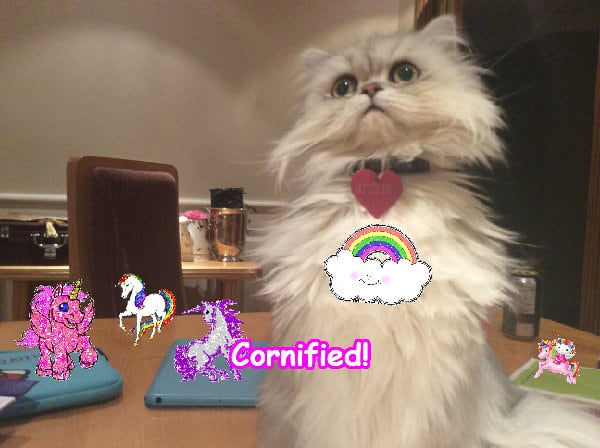 A pink cute amazing pink happiness