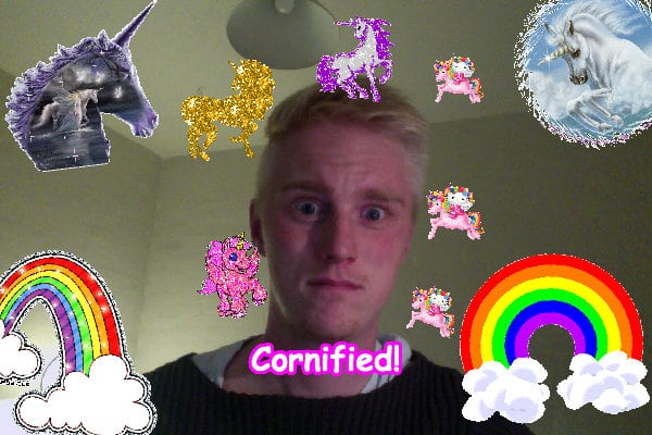 The best divine cool glad sunny rainbow