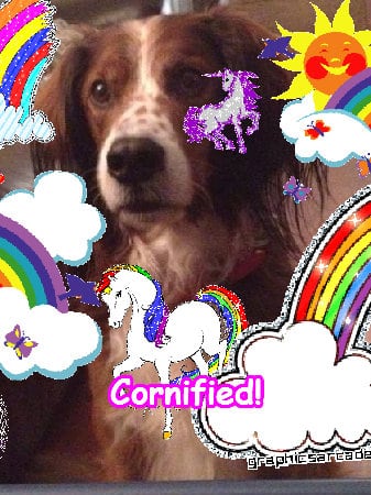 Super pink fun lovely sunny unicorn