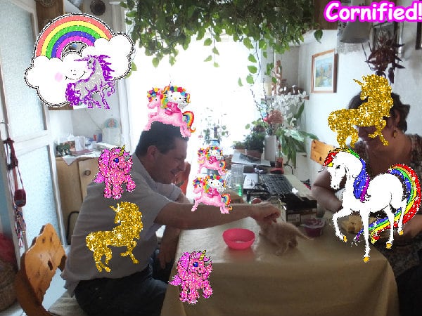 Crazy merry awesome pink glad rainbow