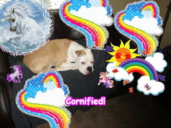 Super happy sunny merry lovely rainbow