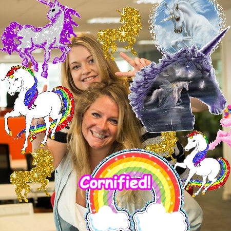 A sunny best great best sunshine