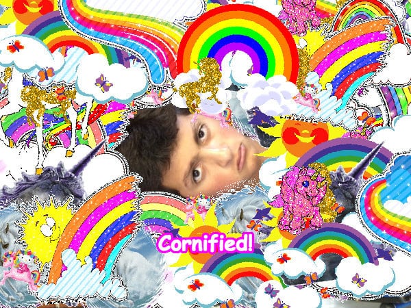 The best lovely cute lovely sunny image