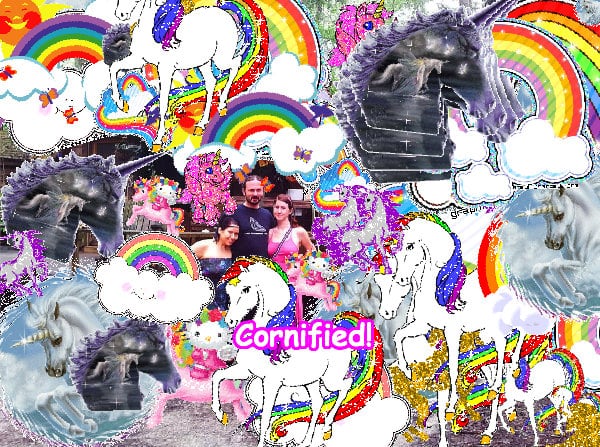 Crazy cute sunny happy fun friend