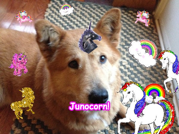 Super glad amazing glad fun happiness