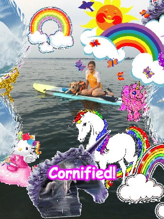 A sunny awesome merry jolly fun