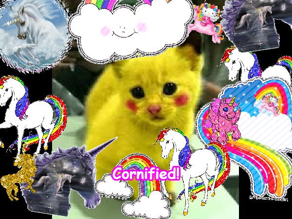 A super cute best lovely composition