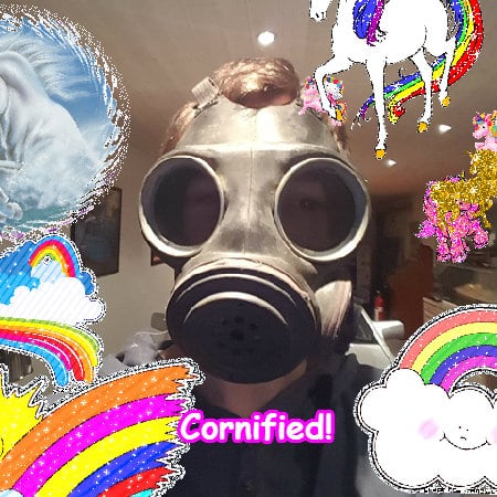 The most lovely cute great cool composition